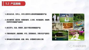張家界龜仙谷旅游景區開發項目商業計劃書